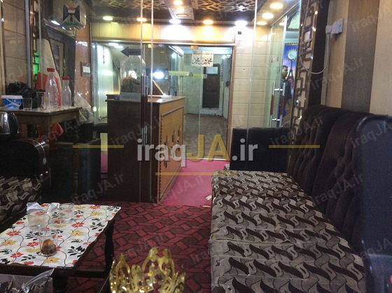 قصر الاسدین